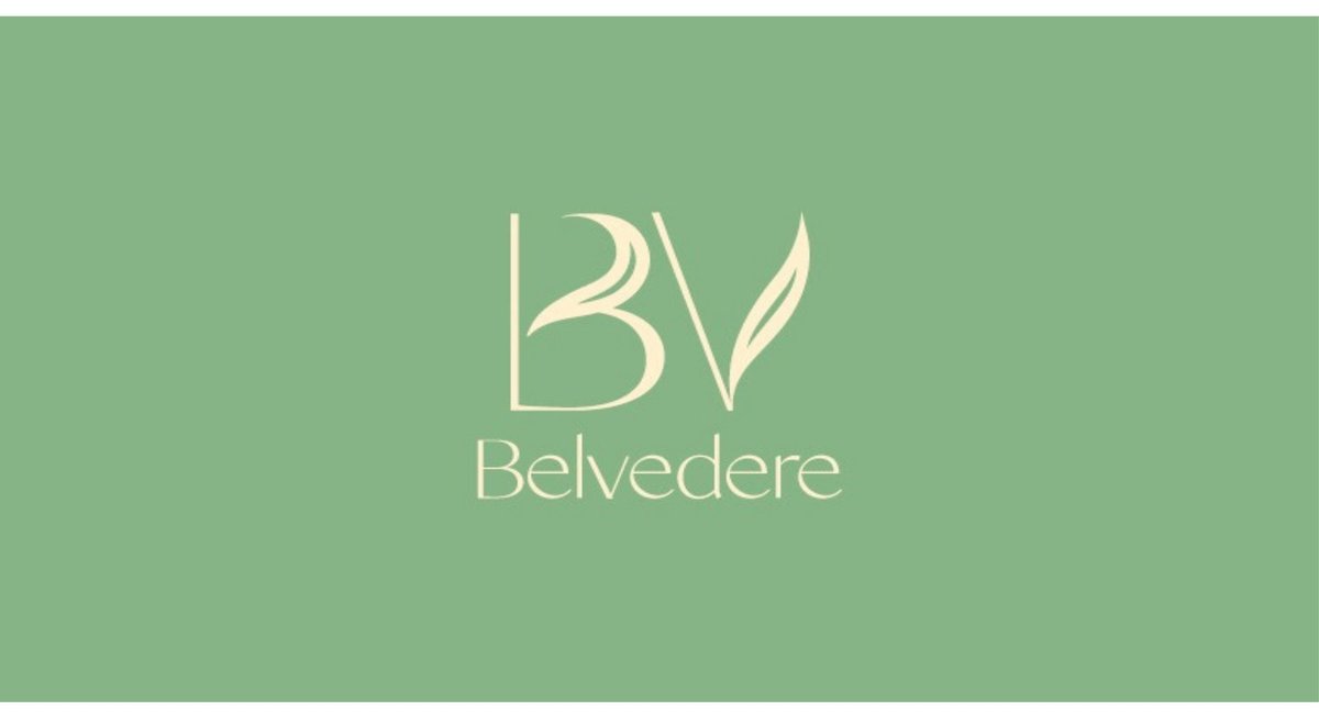 Belvedere project by Parrot