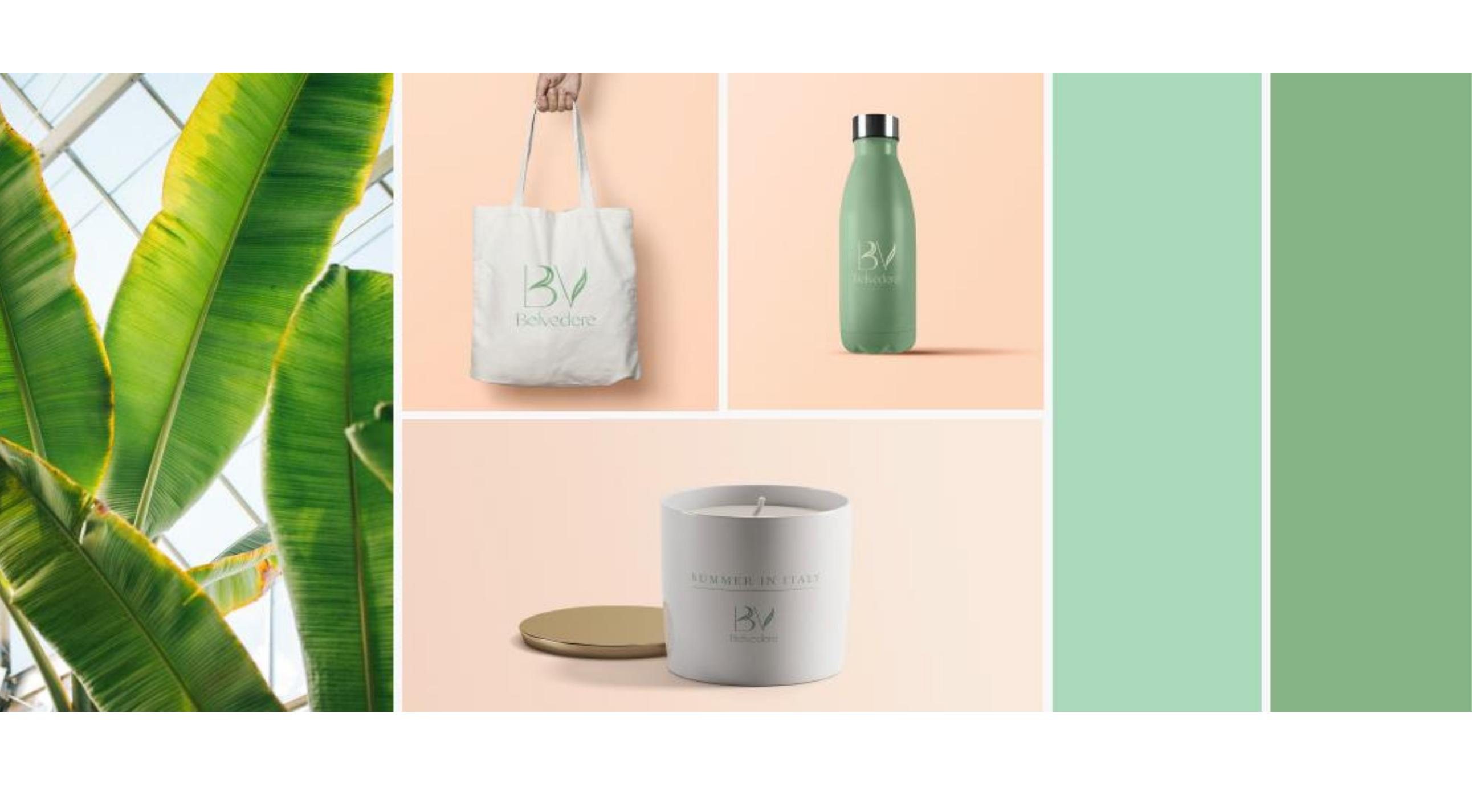 Belvedere branding detail: A calm, nature-led identity